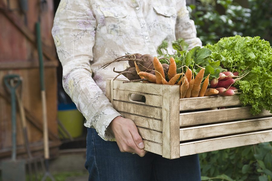 healthy living benefits of organic eating lake county florida akers media group